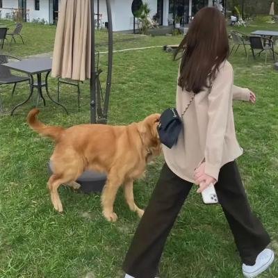 香城春恋
