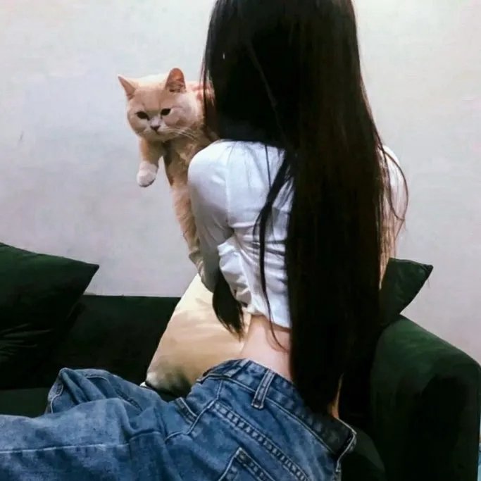 车管所